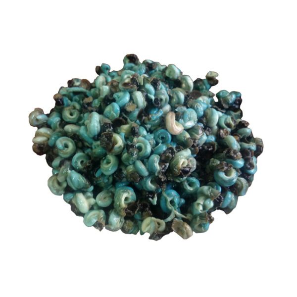 Periwinkles