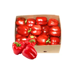 Red Bell Pepper