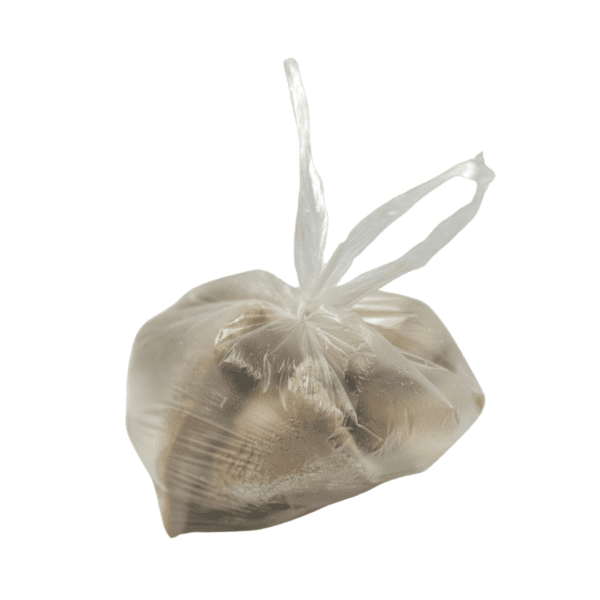 Shaki (Tripe) - Image 2