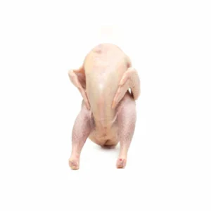 Whole Mature Chicken (Old Layer)