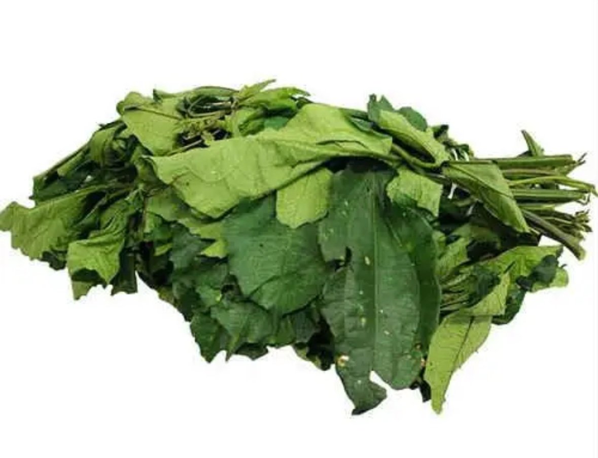 Fresh Ugu - FoodBasket African Store Edmonton Alberta Canada Fresh Ugu